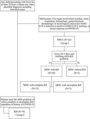 Clinical characteristics and short-term outcomes of multisystem inflammatory syndrome in a country with a high prevalence of KD